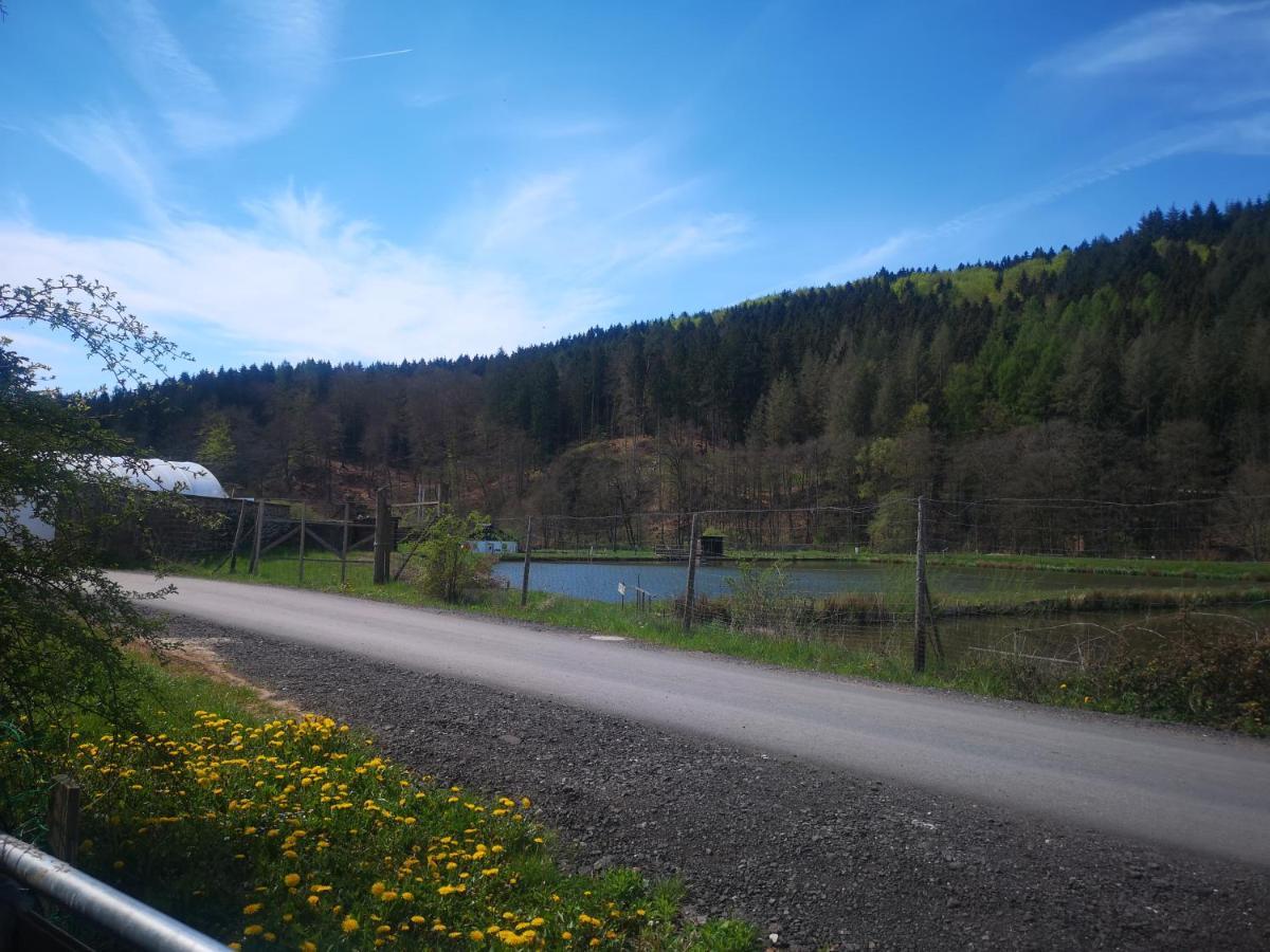 Ferienhaus Salmtal Himmerod Großlittgen Eksteriør billede