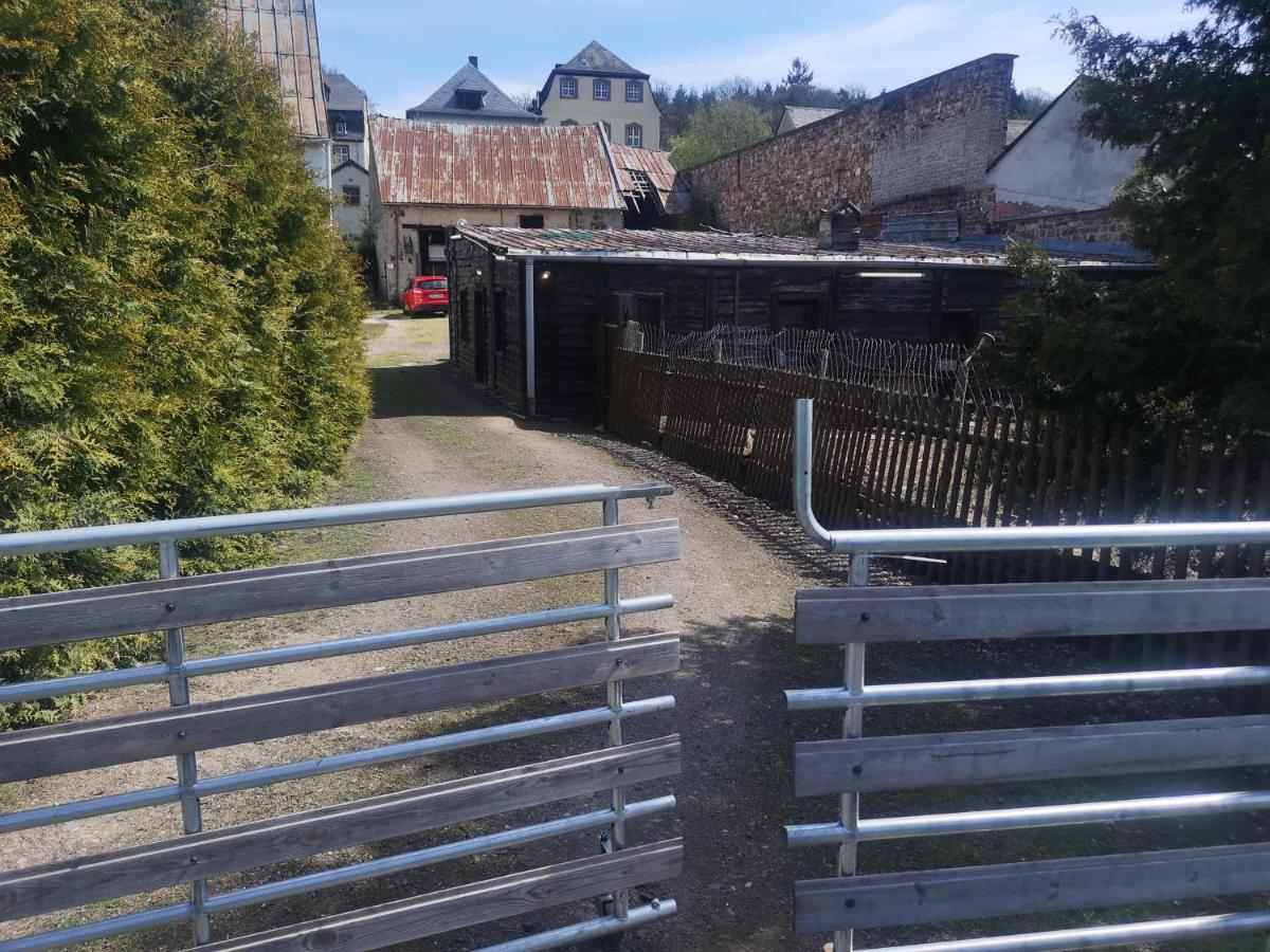 Ferienhaus Salmtal Himmerod Großlittgen Eksteriør billede