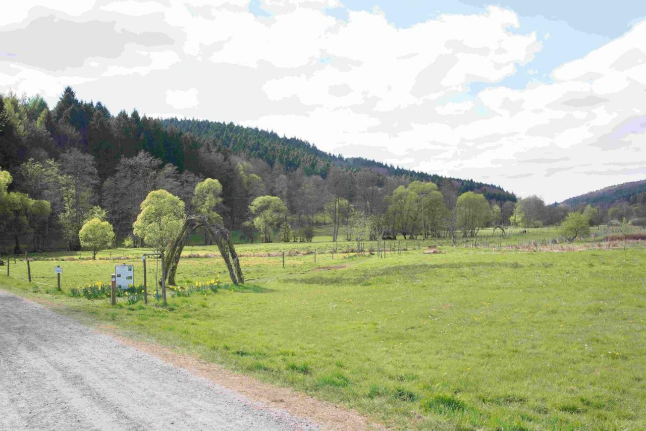 Ferienhaus Salmtal Himmerod Großlittgen Eksteriør billede